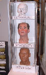 Soldier's Head Reconstruction, Trimontium Exhibition, Scottish Borders